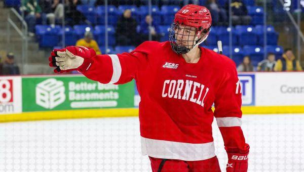 Bruins Amongst A Handful Of Teams Interested In Signing Cornell’s Dalton Bancroft